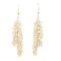 Loni Paul Labradorite Drizzle Earrings